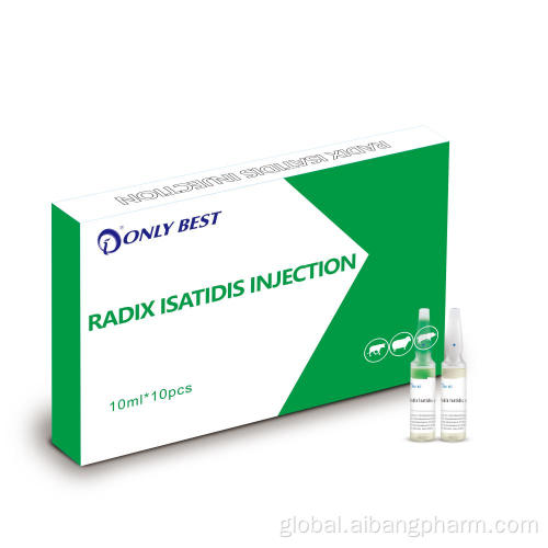 Radix Isatidis Injection For Hot Sale Veterinary medicine herbal medicine Radix Isatidis Injection Supplier